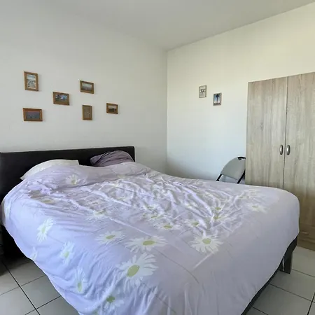 Appartement 2 Pièces Avec Piscine Et Parking, Accès Direct - Fr-1-748-27 Canet-en-Roussillon