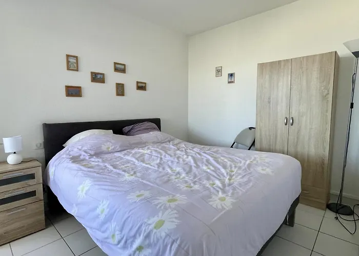 Apartamento 2 Pieces Avec Piscine Et Parking, Acces Direct - Fr-1-748-27 Canet-en-Roussillon